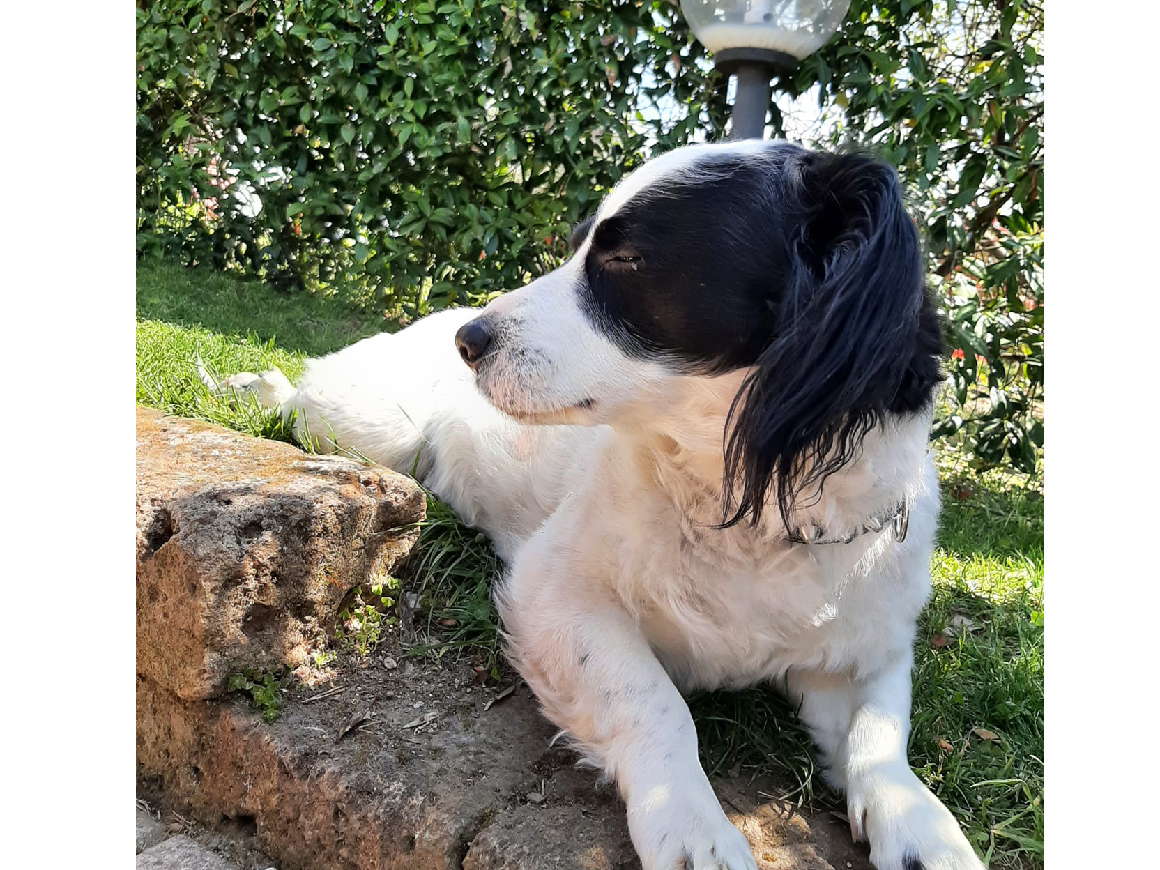 zeus